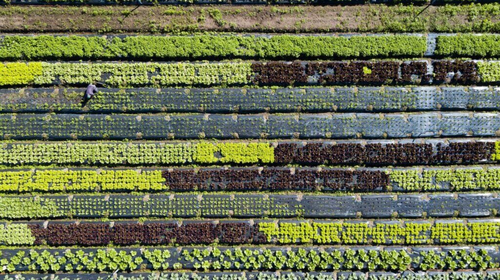 sustainable-farming-land